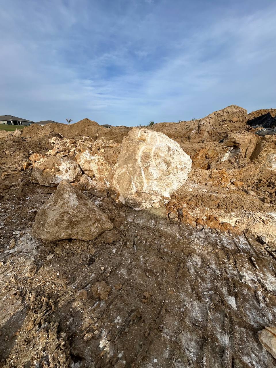 Subsurface Excavation — Florida Geotechnical Services