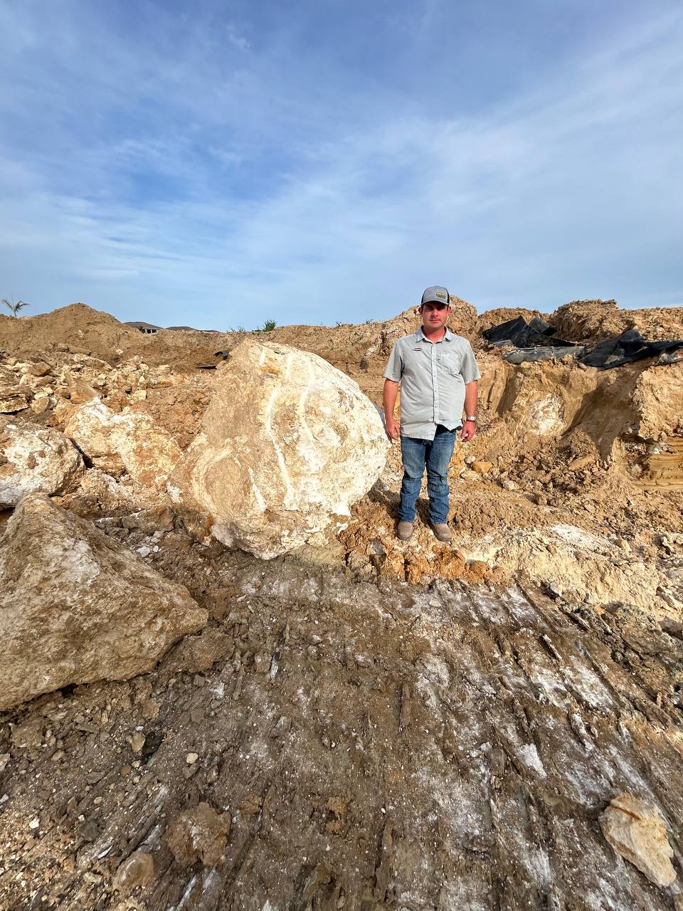 Field Investigation — Florida Geotechnical Services